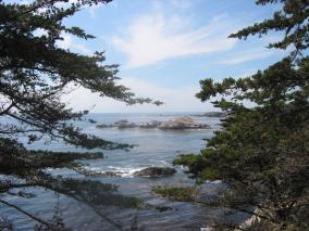 IMG_0875.JPG